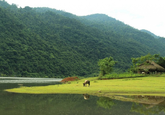 Hồ Noong nằm giữa những tán rừng nguyên sinh | Ảnh: anettpaulovics
