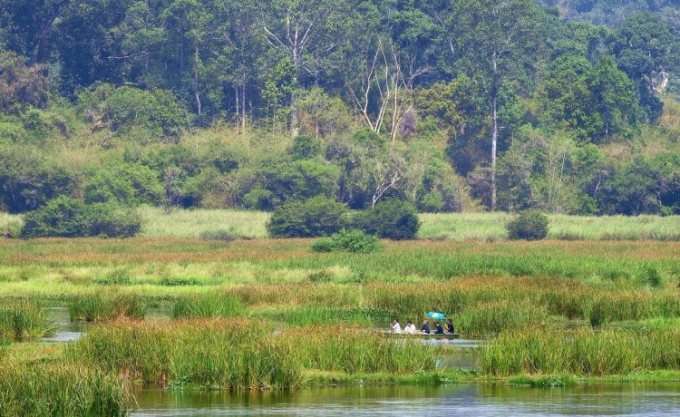 Bàu Sấu, một trong những điểm tham quan hấp dẫn tại vườn quốc gia Cát Tiên.