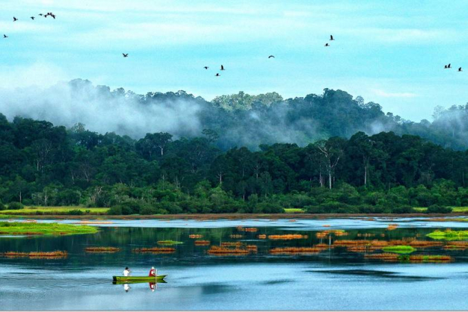 Thiên nhiên tươi đẹp của Vườn quốc gia Cát Tiên | Ảnh: Mekong-Asean