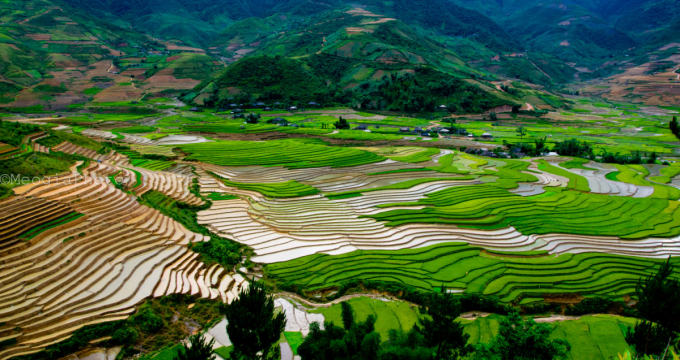 Thung lũng Cao Phạ mùa nước đổ | Ảnh: MeogiaPhoto