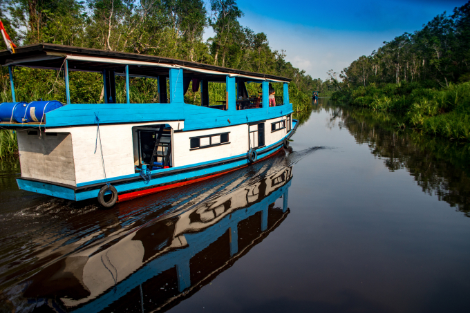 Du ngoạn bằng thuyền klotok tại Kalimantan
