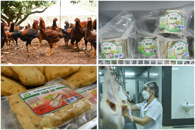 Chị Đinh Thị Hải Linh nhân viên HTX Nông nghiệp xanh Yên Thế (Bắc Giang) phát triển mở rộng mô hình sản phẩm giò, chả, xúc xích... được làm từ gà đồi Yên Thế.