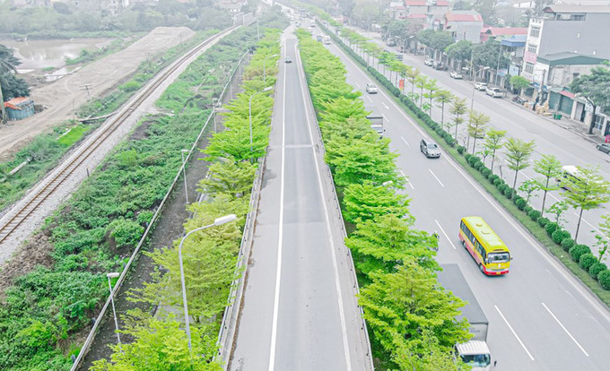 Những ngày qua, hình ảnh hàng cây Bàng lá nhỏ rực sắc xanh tại nút giao Quốc lộ 5 - Bắc Ninh - Bắc Giang đang được lan truyền rộng rãi trên mạng xã hội. Hình ảnh nút giao với những hàng Bàng lá nhỏ thẳng tắp, tán lá xanh rì, tạo nên sức hấp dẫn đến người dân đặc biệt là giới trẻ.