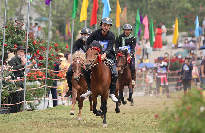 Giải đua “Vó ngựa trên mây' tại Sapa