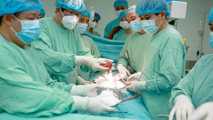 Y, Bác sĩ BV TW Huế tiến hành ghép tạng từ trường hợp hiến tạng sau khi chết não cho bệnh nhân suy thận.
