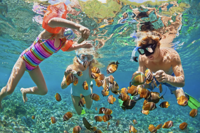 Ngắm san hô là một trải nghiệm hấp dẫn tại Hòn Thơm