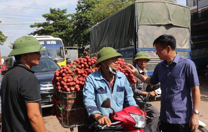 Ông La Văn Nam - Chủ tịch UBND huyện Lục Ngạn, tỉnh Bắc Giang xuống cơ sở kiểm tra hoạt động thu mua vải tại các điểm cân trên địa bàn và thăm hỏi người dân về tình hình mùa vụ năm nay.