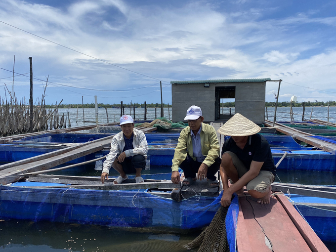 Anh Nguyễn Văn Tiến, người có 14 bè cá trên đầm cho biết, vừa qua do ô nhiễm, cá, tôm chết, thiệt hại gần 350 triệu đồng.