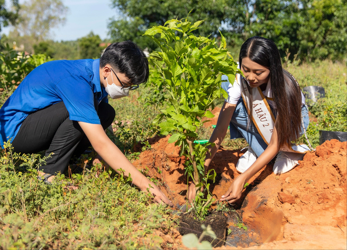 Á hậu 2 Thạch Thu Thảo cùng đoàn thanh niên tại địa phương chăm sóc cây trước khi trồng