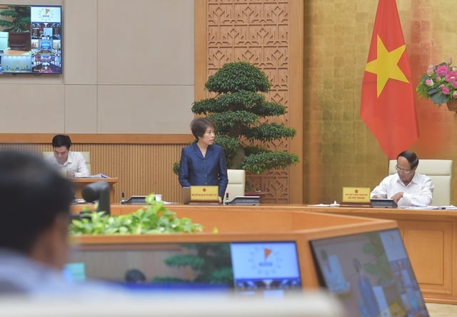 Thứ trưởng Bộ Kế hoạch và Đầu tư Nguyễn Thị Bích Ngọc phát biểu tại cuộc họp - Ảnh: VGP/Đức Tuân