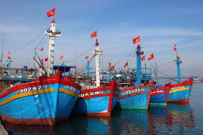 Trong thời hạn 18 ngày, kể từ khi nhận đầy đủ hồ sơ hoặc theo thỏa thuận nếu thiết kế tàu biển mới hoặc phức tạp (nhưng không quá 60 ngày), Cục Đăng kiểm Việt Nam tiến hành thẩm định thiết kế
