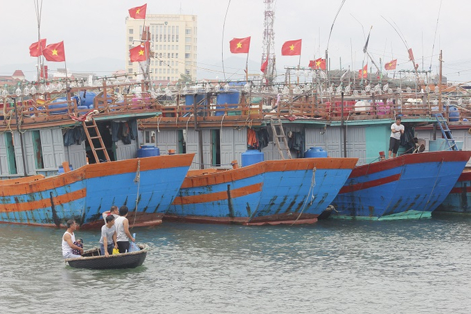 UBND tỉnh Quảng Bình ban hành Công văn tăng cường công tác quản lý tàu cá, đảm bảo an toàn cho người và tàu cá hoạt động thủy sản