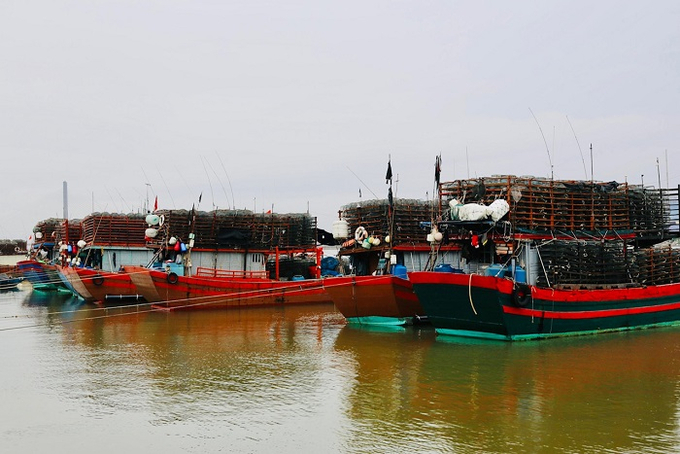 Tàu thuyền của ngư dân Quảng Bình vào neo đậu, tránh trú bão