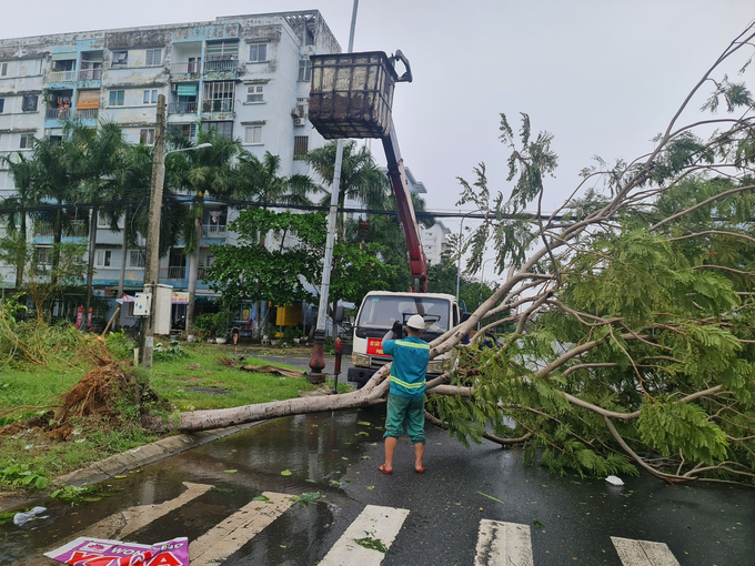 Công ty Môi trường đô thị Đà Nẵng cùng với người dân dọn dẹp vệ sinh môi trường, cây xanh ngã đổ