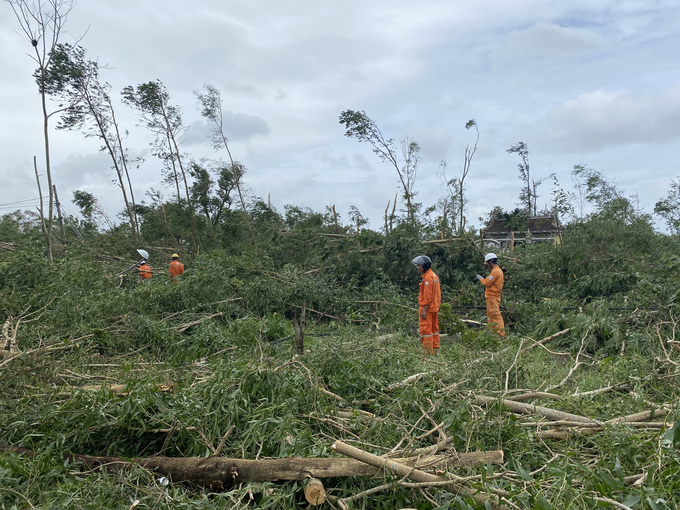 66 nóc nhà/ 47 hộ gia đình tại hai thôn Khánh Mỹ và Mai Vĩnh (xã Vinh Xuân, Phú Vang, Thừa Thiên Huế) bị tốc mái, nhiều cây cối gãy đổ sau bão
