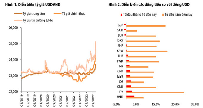 Báo cáo thị trường tiền tệ của VDSC tháng 10