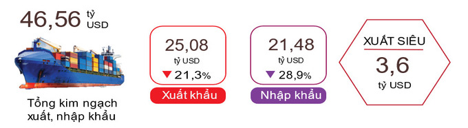 Xuất, nhập khẩu hàng hóa tháng 01 năm 2023