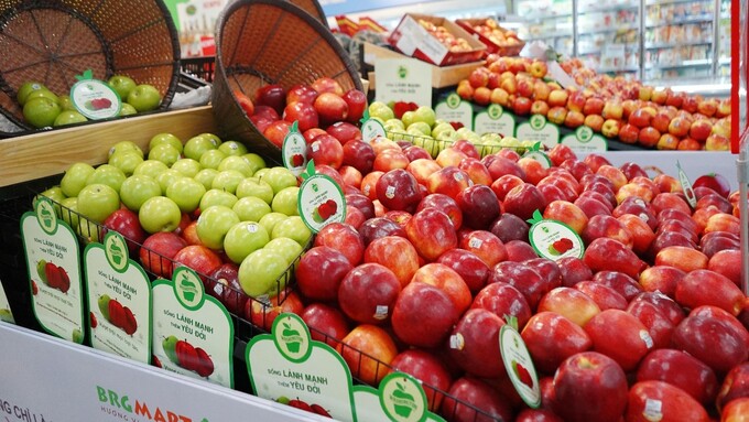 BRGMart là 1 trong 3 đơn vị lớn được Bộ Nông nghiệp cho phép nhập khẩu trực tiếp táo Cosmic Crisp® về Việt Nam