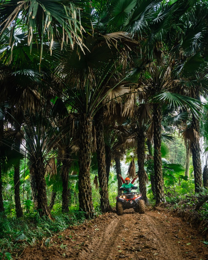 UBND tỉnh Quảng Bình đã cho phép đơn vị khai thác du lịch triển khai tour trải nghiệm lái xe mô tô địa hình (ATV Khi tham gia trải nghiệm lái xe mô tô địa hình, du khách được tự mình làm chủ cung đường, lái mô tô địa hình chạy xuyên qua cánh rừng lim, rừng cọ và rừng sim tuyệt đẹp