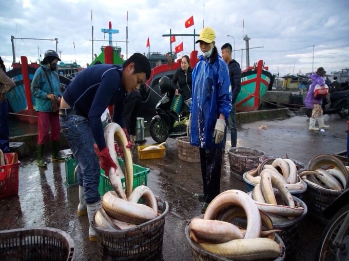 Khai thác, đánh bắt trên biển chiếm tỷ trọng lớn trong cơ cấu kinh tế của huyện Phú Vang.