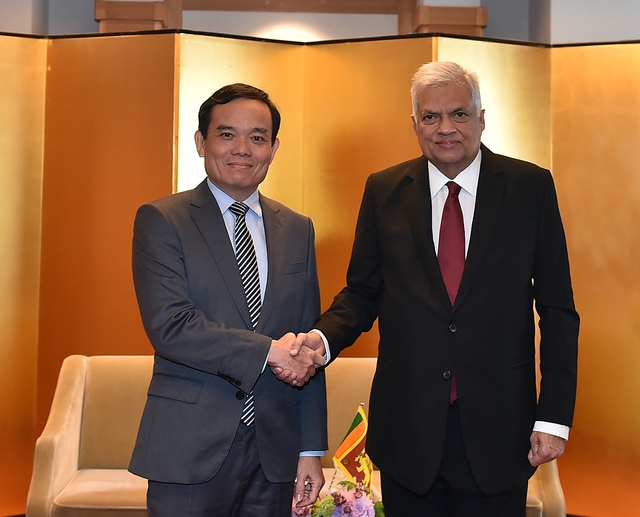 Phó Thủ tướng Trần Lưu Quang có cuộc gặp với Tổng thống Sri Lanka Ranil Wickremesinghe - Ảnh: VGP/Hải Minh