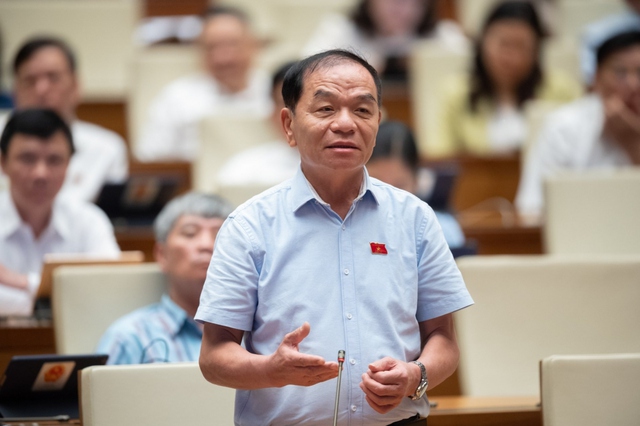 Đại biểu Lê Thanh Vân phát biểu tại phiên thảo luận