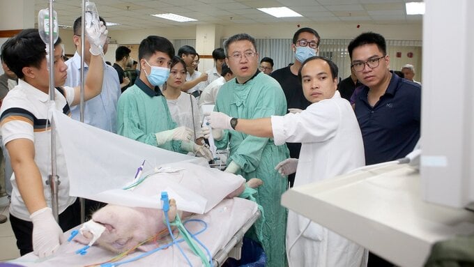 Tập huấn kỹ thuật phẫu thuật nội soi từ xa bằng robot trên cơ thể lợn.