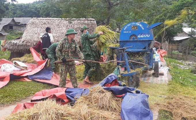 Bộ đội Biên phòng tỉnh Quảng Bình giúp đồng bào dân tộc thu hoạch lúa.