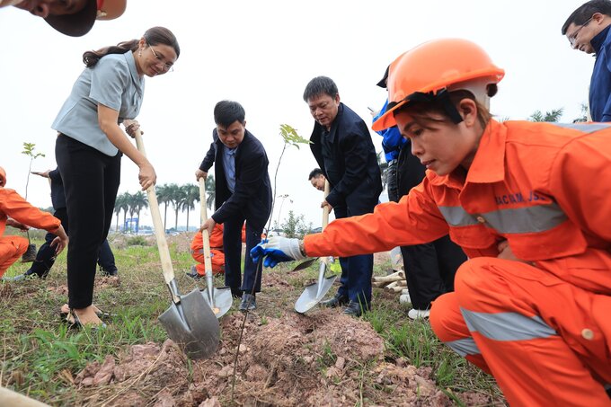 Lãnh đạo Đảng ủy Bộ GTVT, Cục Đường bộ Việt Nam tham dự Tết trồng cây