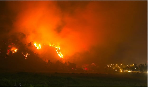 Cháy rừng ở huyện Nghi Xuân năm 2019
