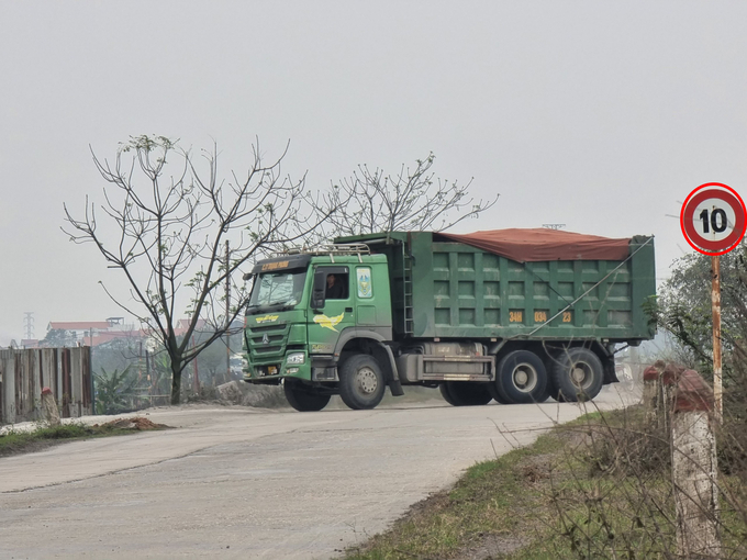 Theo ghi nhận của phóng viên Banduong.vn, mặc dù là tuyến đê cấp III (12 tấn) tuy nhiên hàng ngày vẫn phải cõng hàng chục xe mang biển logo Trọng Phóng có dấu hiệu quá khổ, quá tải 'tung hoành' trên thân đê.