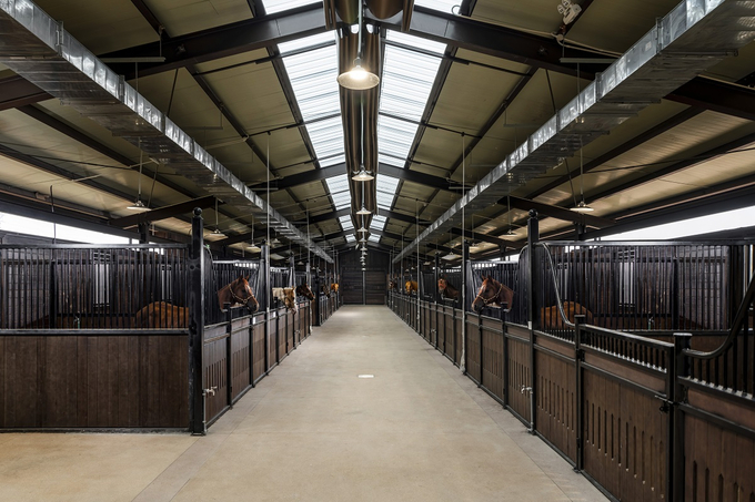 Hệ thống chuồng nuôi ngựa được thiết kế theo tiêu chuẩn nghiêm ngặt, trang thiết bị hiện đại tại Học viện cưỡi ngựa Hoàng Gia.