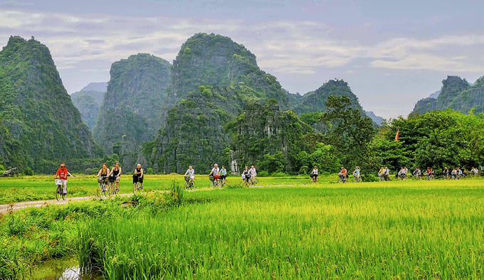 Du khách đạp xe chiêm ngưỡng cảnh sắc thiên nhiên tại Ninh Bình