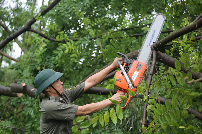 Khảo sát hiện trường, ông Phạm Quang Tuấn, Phó Chủ tịch UBND huyện Quốc Oai cho biết, sau khi có thông tin cơn bão số 3 đổ bộ vào đất liền và trực tiếp vào Hà Nội, thực hiện chỉ đạo của Thành ủy, UBND thành phố, huyện Quốc Oai đã xây dựng các kế hoạch phòng chống, khắc phục các sự cố do bão gây ra