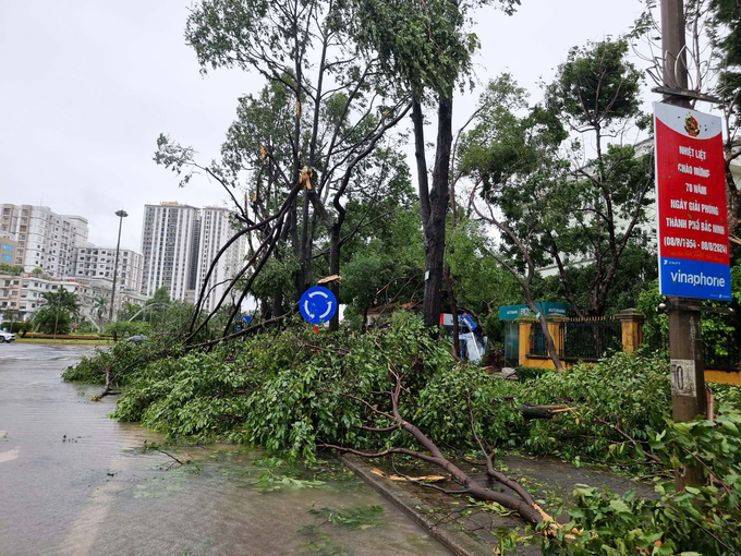 Trên các tuyến phố như Lý Thái Tổ, Nguyễn Gia Thiều, Ngô Gia Tự, Nguyễn Cao, Bình Than gãy đổ nằm đổ la liệt…