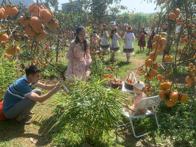 Nhiều gia đình đã tranh thủ ngày cuối tuần đi nghỉ ngơi vui chơi trong khung cảnh tuyệt đẹp của vườn hồng