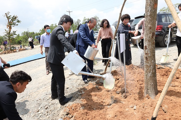 Loại cây được trồng tại Ô Tà Sóc là cây Dầu Rái - loại cây lâu năm lấy gỗ đặc hữu, có giá trị và phù hợp thổ nhưỡng của vùng ĐBSCL.