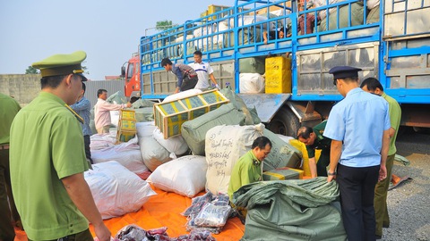 Ngăn chặn và xử lý nghiêm các hành vi buôn lậu và gian lận thương mại nhằm góp phần thúc đẩy các hoạt động sản xuất kinh doanh lành mạnh, bảo vệ quyền lợi người tiêu dùng