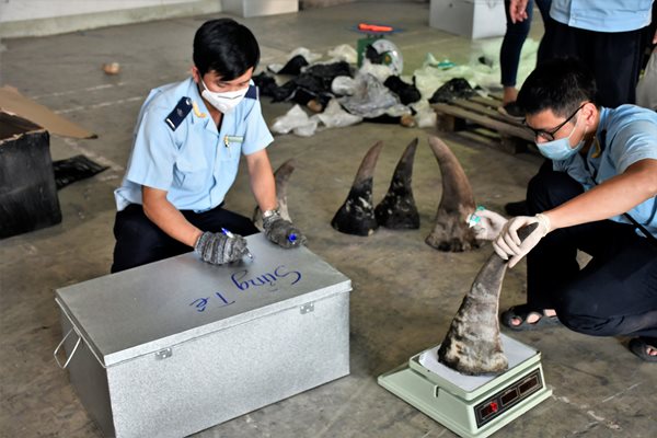 Hải quan Đà Nẵng chủ trì khám xét hàng hóa vi phạm - Ảnh theo danang.gov.vn