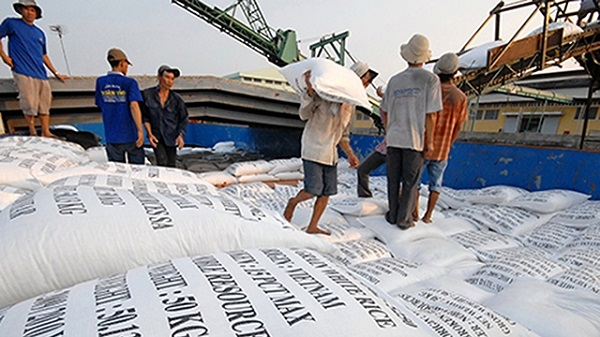 Hỗ trợ điều kiện để doanh nghiệp lúa, gạo tăng trưởng trong bối cảnh dịch bệnh. Ảnh minh họa