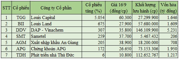 Cổ phiếu họ Louis, trong đó TGG tăng giá 5.054% từ đầu năm đến nay.