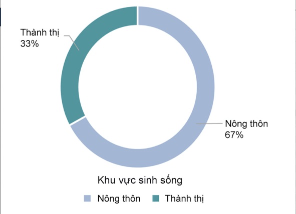 Giới tính và phân bổ khu vực sinh sống của nhóm người trên 60 tuổi. Nguồn: Tổng cục Thống kê