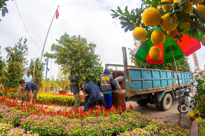 Các tiêu thương đã bắt đầu đón khách đến mua hoa trang trí