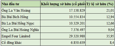 Gia đình nhà sáng lập La Văn Hoàng và Empel Four Limited sở hữu 91,6% vốn điều lệ của Nhựa Ngọc Nghĩa.