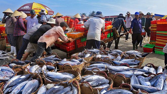 VASEP cho rằng trong quý 2, xuất khẩu hải sản của Việt Nam dự kiến vẫn duy trì tăng trưởng dương hai con số.