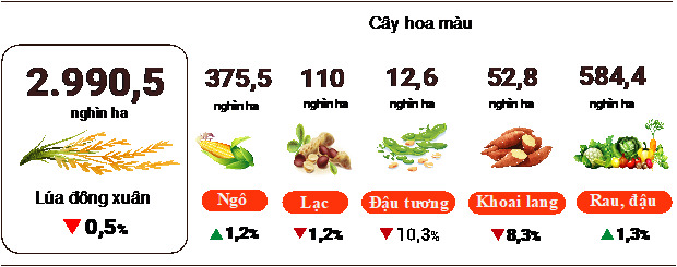 Diện tích gieo trồng một số cây hàng năm.