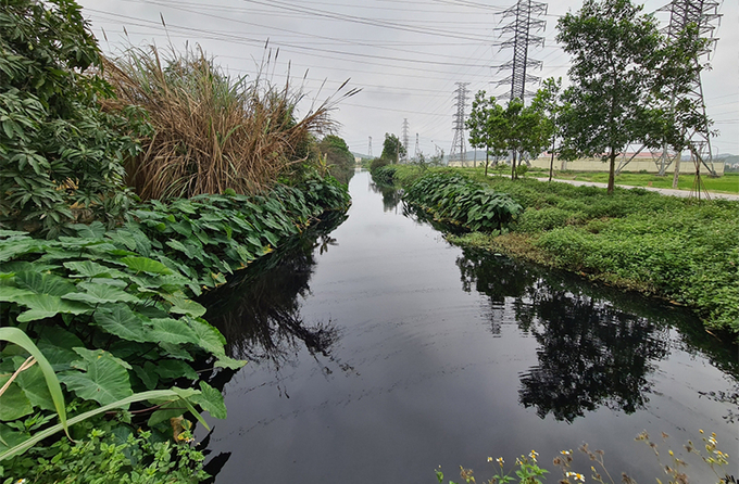 Một con kênh đen kịt bốc mùi trên địa bàn huyện Tiên Du, Bắc Ninh.