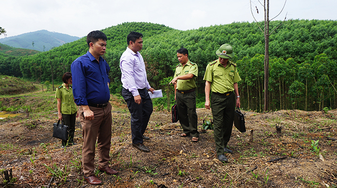 Đoàn kiểm tra Chi cục kiểm Lâm tỉnh Bắc Giang kiểm tra mô hình giống cây lâm nghiệp tại huyện Sơn Động.