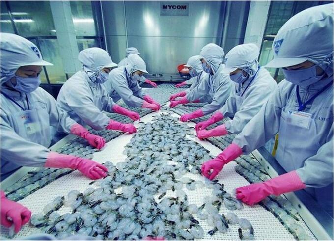 Hai sản phẩm chiếm tỷ trọng chi phối là cá tra chiếm 48% và tôm chiếm 35% xuất khẩu thuỷ sản sang thị trường Trung Quốc.