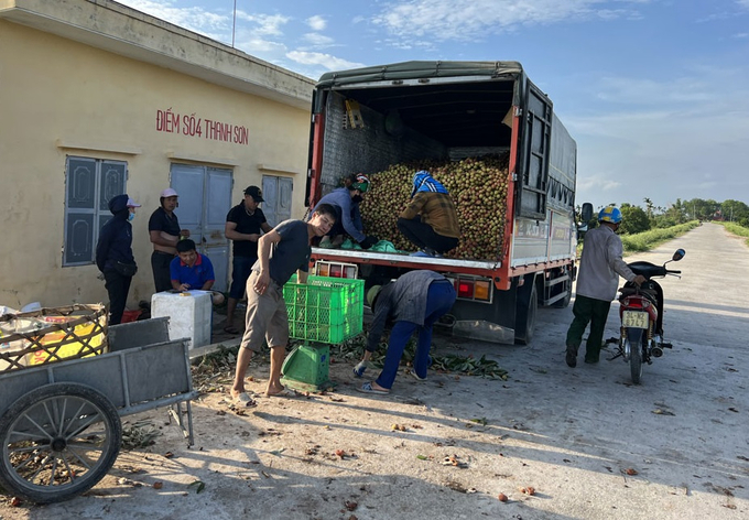 Một trong những chuyến vải muộn nhất trong ngày tại điểm đê xã Thanh Sơn, huyện Thanh Hà.